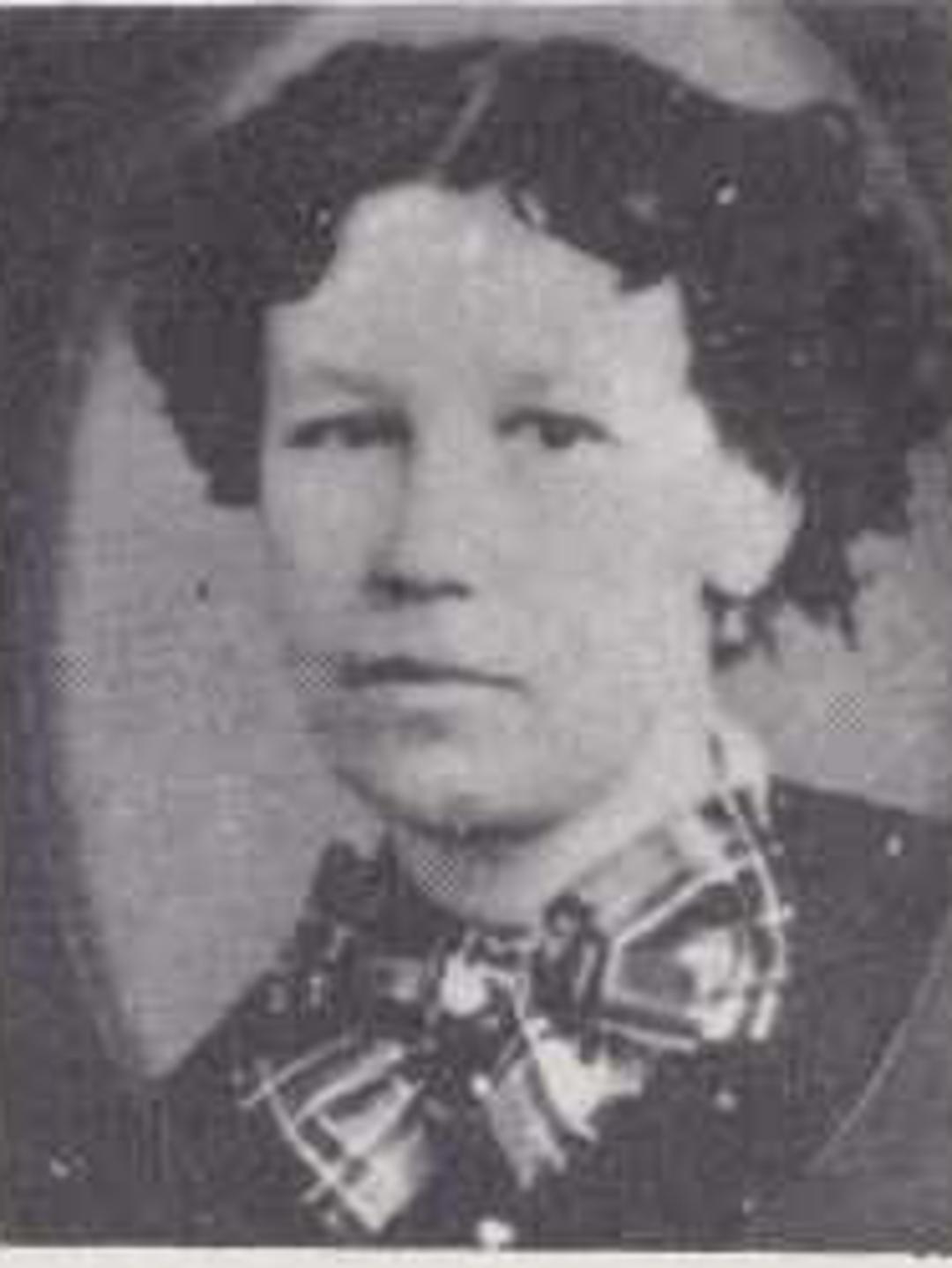 Julia Maria Snow (1849 - 1933) Profile